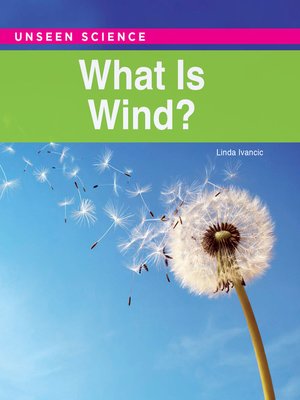 cover image of What Is Wind?